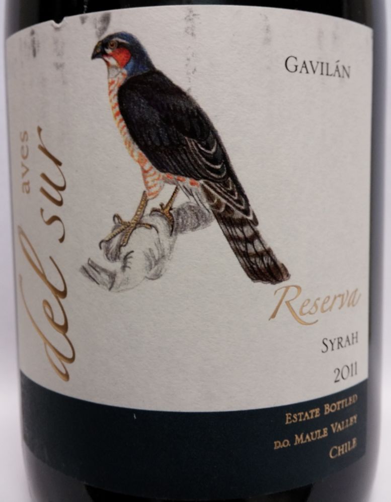 Viña del Pedregal S.A. Aves del Sur Gavilán Reserva Syrah 2011, Front, #1074