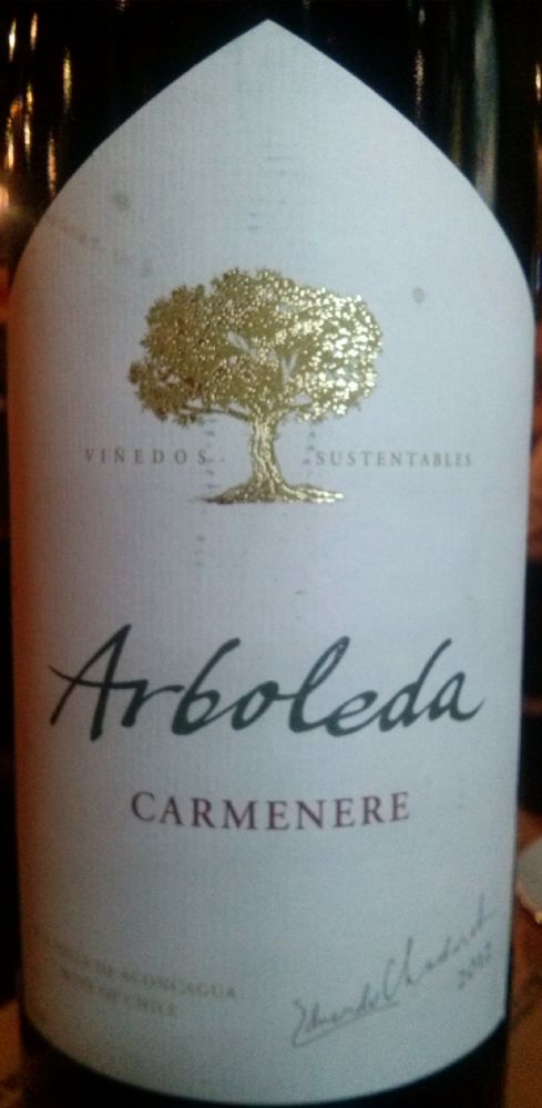 Viña Arboleda S.A. Carménère D.O. Aconcagua 2012, Front, #1219