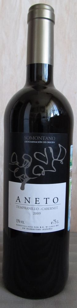 Bodega Pirineos S.A. ANETO Tempranillo Cabernet Sauvignon DO Somontano 2009, Front, #15