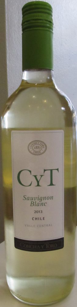 Viña Concha y Toro S.A. CyT Sauvignon Blanc 2013, Front, #1811