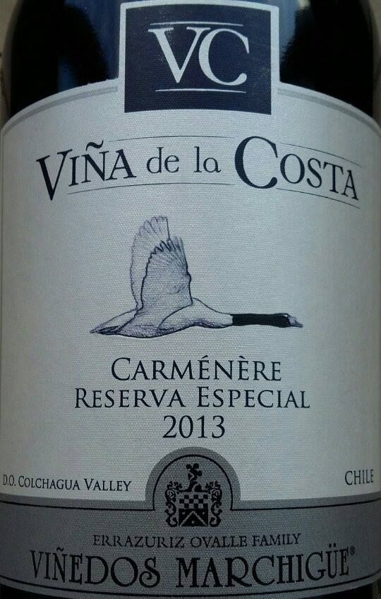 Viñedos Errazuriz Ovalle S.A. Viña de la Costa Reserva Especial Carménère D.O. Colchagua Valley 2013, Main, #4105