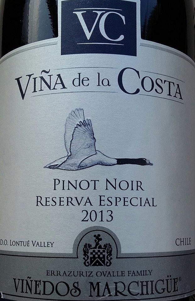 Viñedos Errazuriz Ovalle S.A. Viña de la Costa Reserva Especial Pinot Noir Lontue Valley 2013, Main, #4140