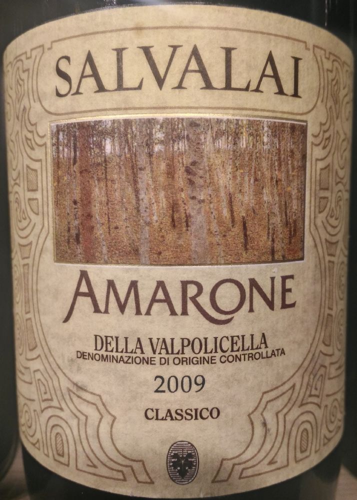 Cantine Salvalai S.r.l. Amarone della Valpolicella Classico DOCG 2009, Main, #4459
