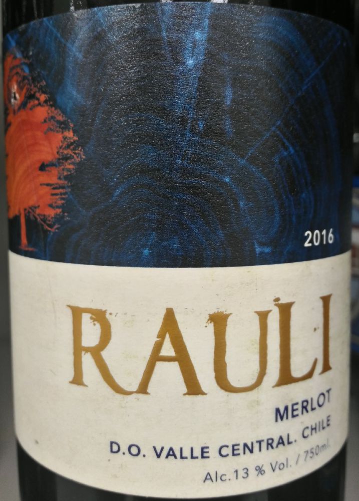 Bodegas y Viñedos de Aguirre S.A. Rauli Merlot 2016, Main, #5576