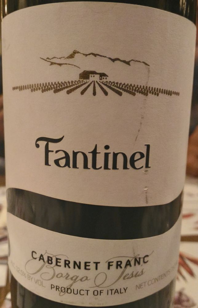 Gruppo Vinicolo Fantinel S.p.A. Fantinel Borgo Tesis Cabernet Franc Friuli Grave DOC 2014, Main, #5765