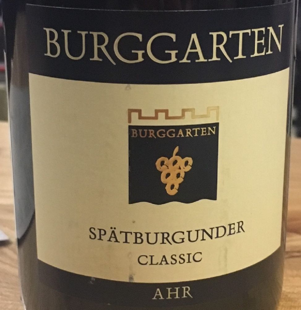 Weingut Burggarten Classic Spätburgunder 2015, Main, #5997