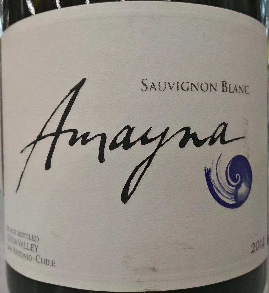 Viña Garcés Silva Limitada Amayna Sauvignon Blanc 2014, Main, #7065