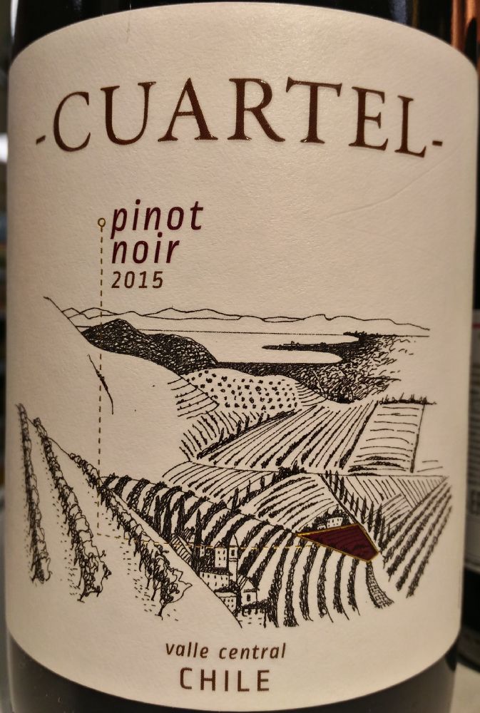 Bodegas y Viñedos Quinta de Maipo SpA Cuartel Pinot Noir 2015, Main, #7222