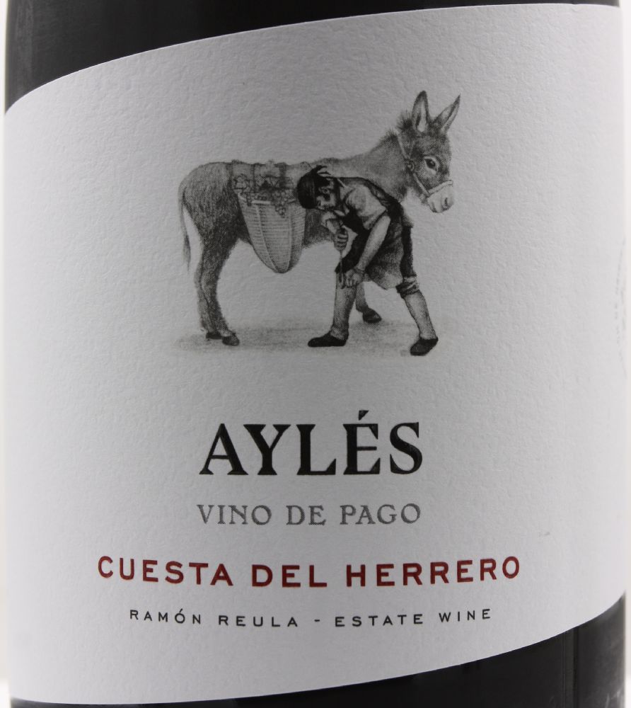 Abrera S.A. Cuesta del Herrero VP Aylés 2019, Main, #8509