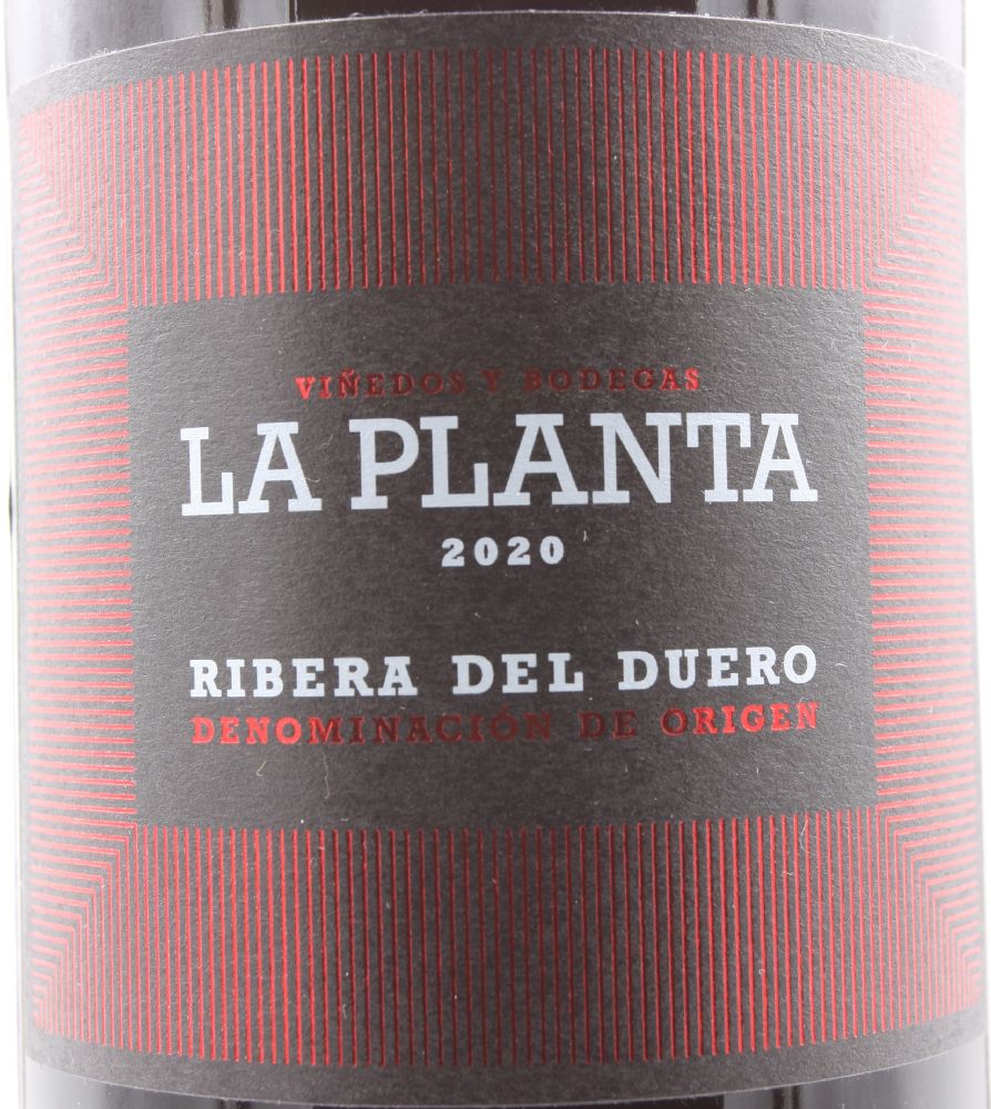 Bodegas Arzuaga Navarro S.L. La Planta DO Ribera del Duero 2020, Main, #8922